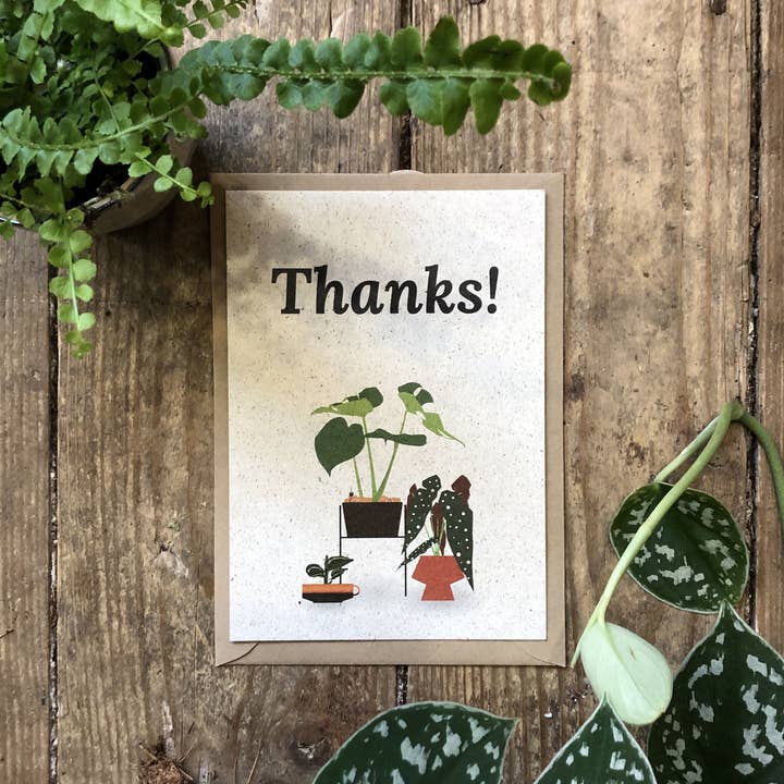 Obrigado! por atacado de Studio by Taco