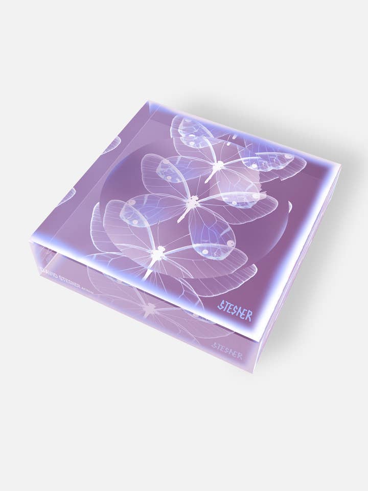 Piatto Portagioie in Acrilico a Forma di Farfalla Invisibile Volo per la vendita all'ingrosso da parte di David Stesner ArtHouse