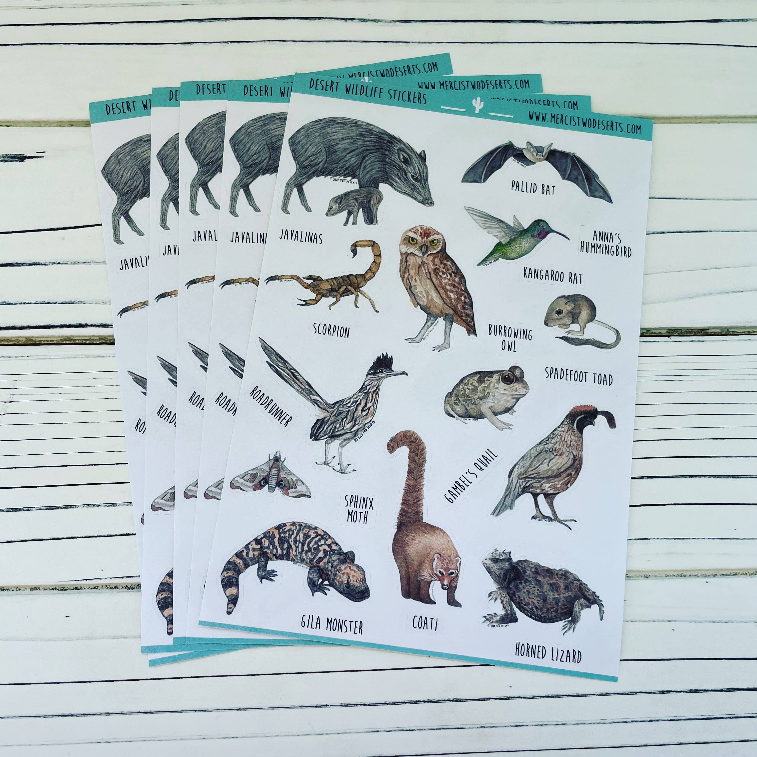 Two Deserts - Wholesale Sticker - Animal Stickers - Desert Wildlife - Paper Sticker Sheet4