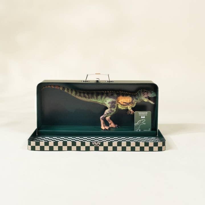 Coco Village - Wholesale Figurine toy – Kids - Tyrannosaurus Rex Dinosaur in a Collectible Box4