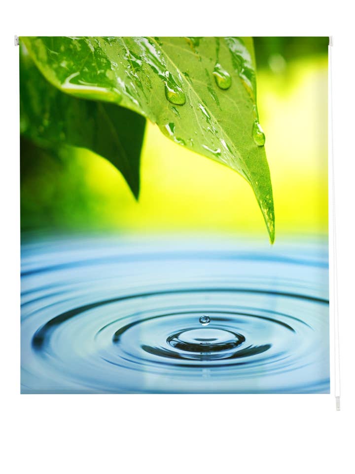 Store enrouleur translucide imprimé Zen pour la vente par ZEBRA TEXTIL, SL