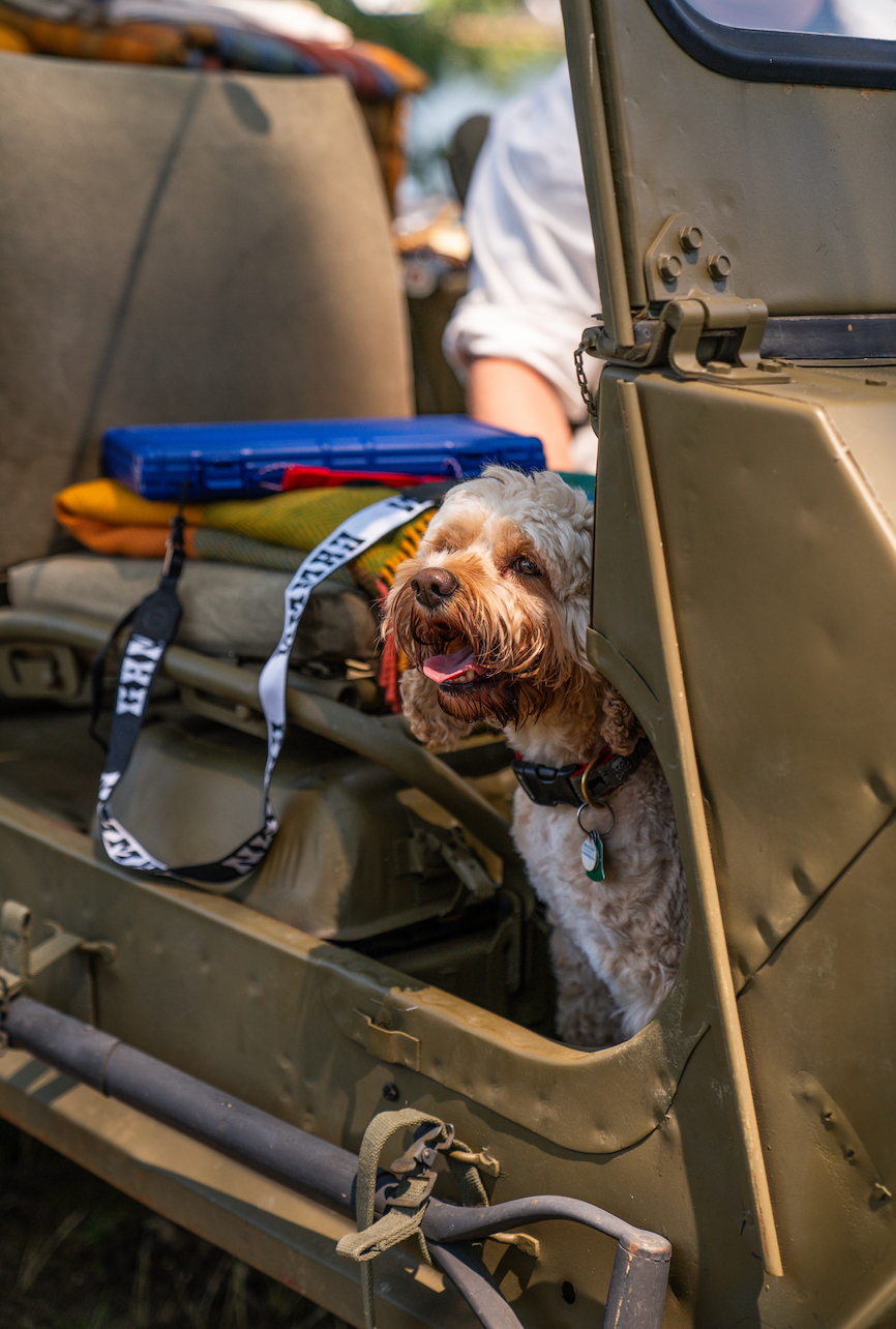 Gammn - Vente Jeux de société - The Board – plateau de backgammon portable et moderne28