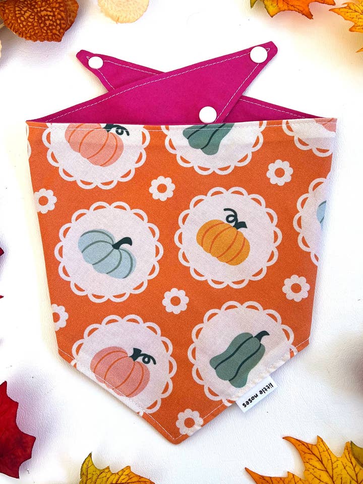 Bandana reversível para animais de estimação com renda de abóbora por atacado de Little Noses