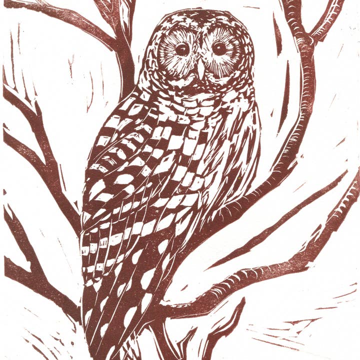 Linogravure en forme de hibou rayé faite à la main pour la vente par China Jones Art
