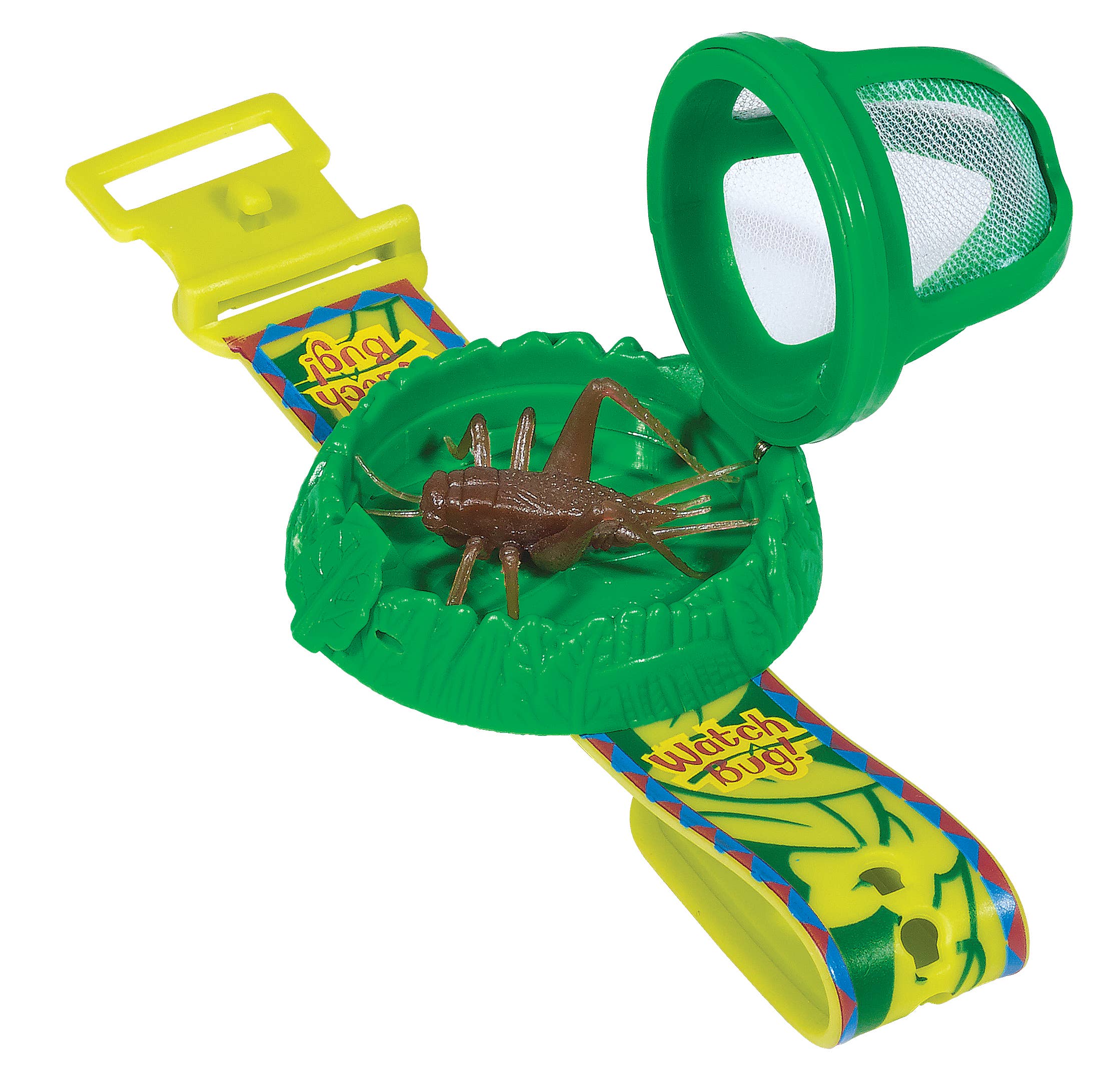 Amazon.com: Backyard Safari Adjustable Bug Watch, Colors May Vary : Toys &  Games