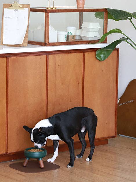 Oreo Elevated Pet Table Wood . Dark Green . Short for wholesale by Pets So Good