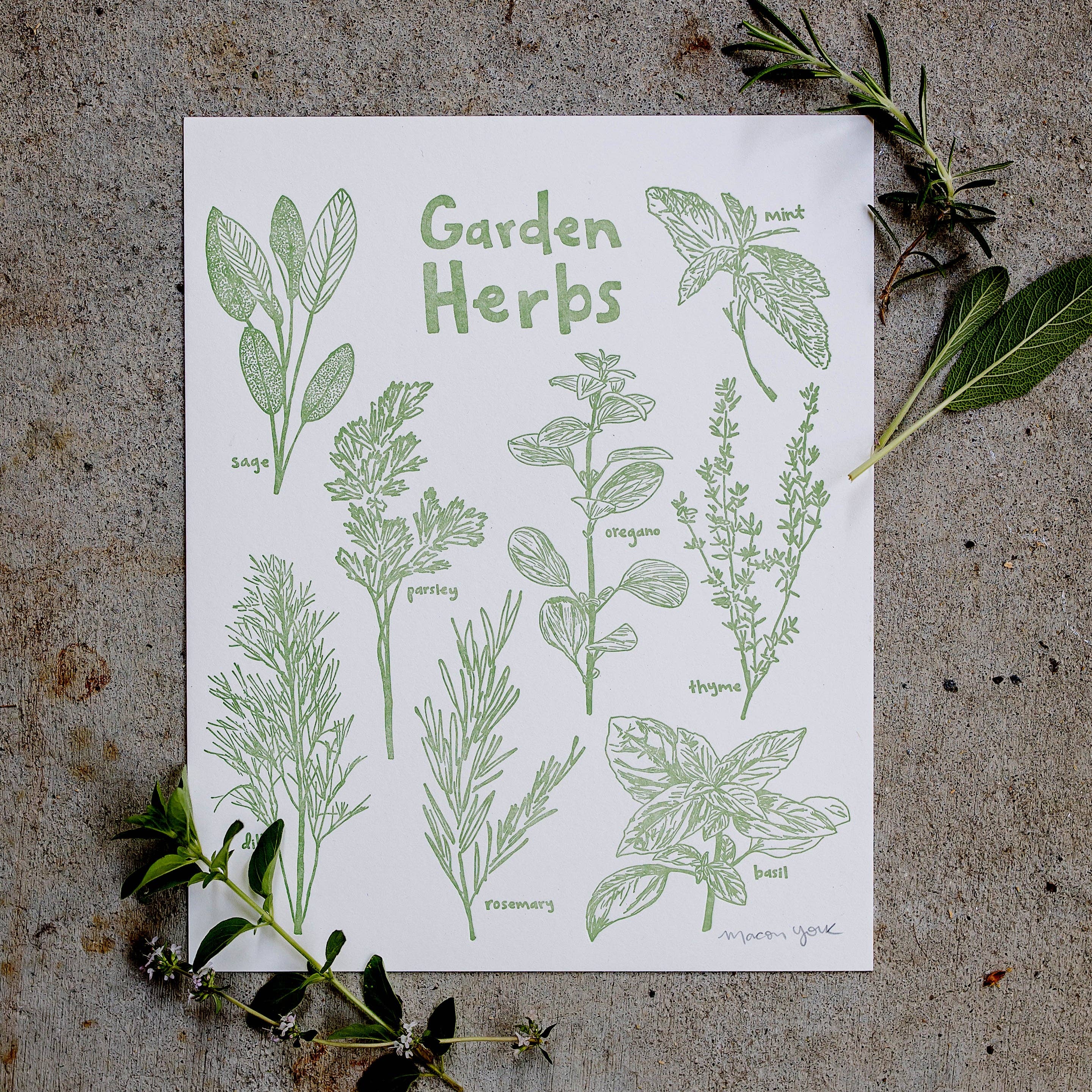 Macon York Press - Vente Affiche d'art - Impression typographique Garden Herbs1