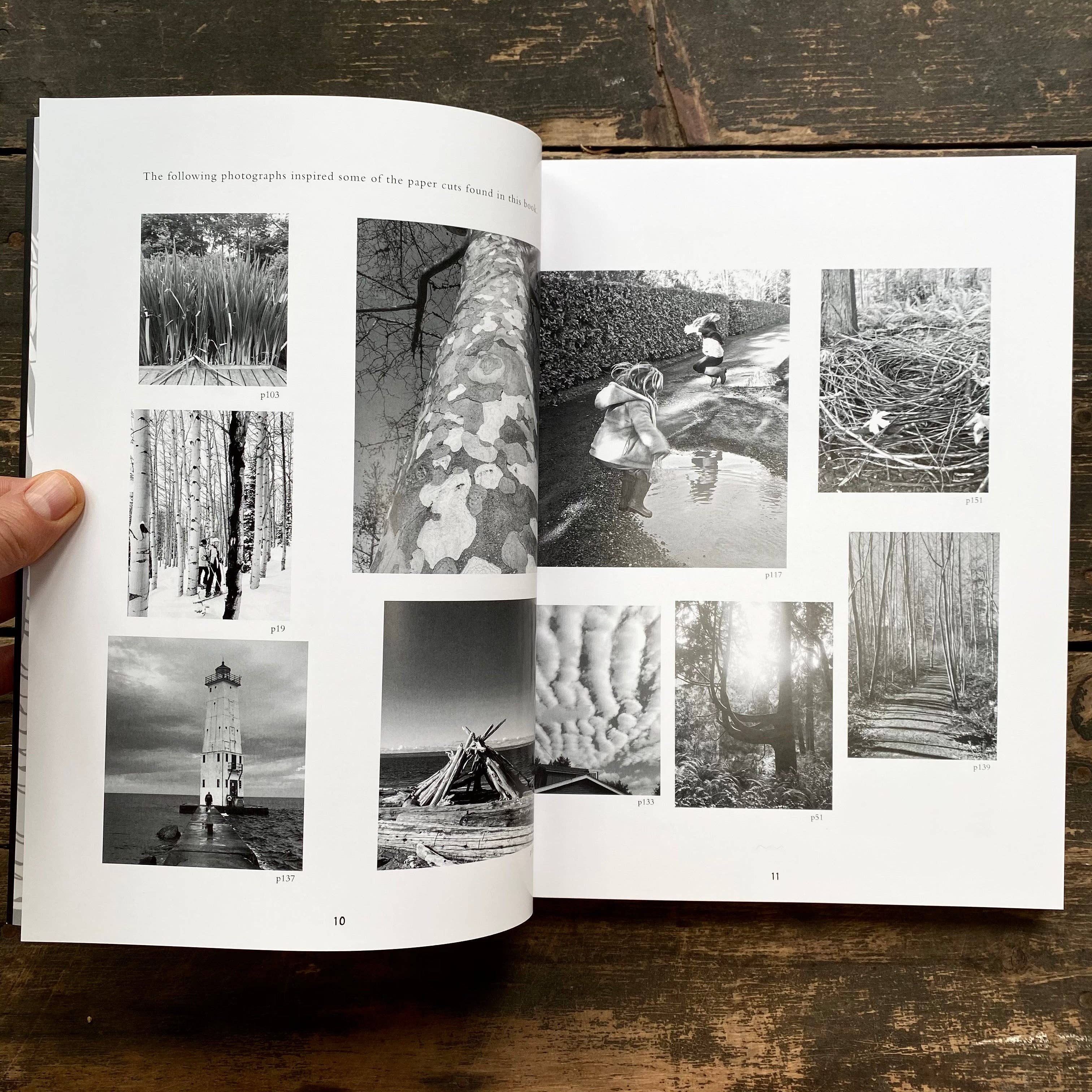 Elizabeth VanDuine - Wholesale Arts & Entertainment Book - Paper & Knife by Elizabeth VanDuine12