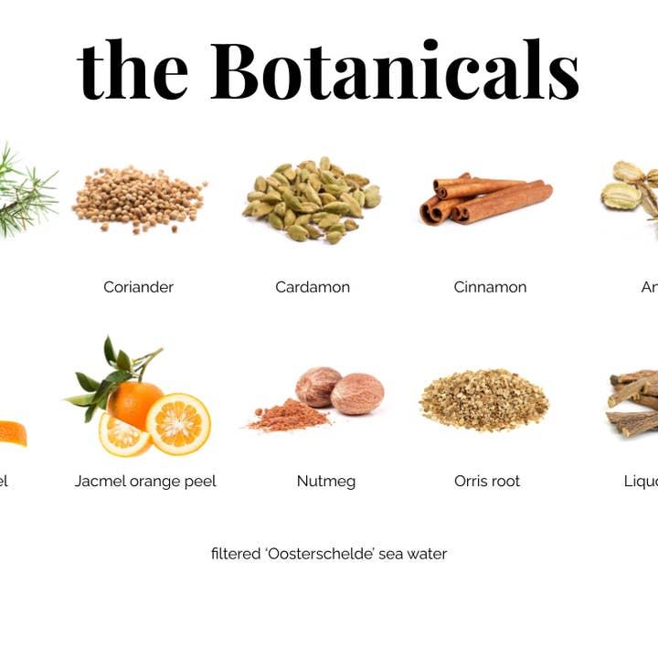 Hermit Spirits B.V. - Wholesale Cocktail/Liquor Glass - Hermit ambassador GT coppa glass 56 cl7