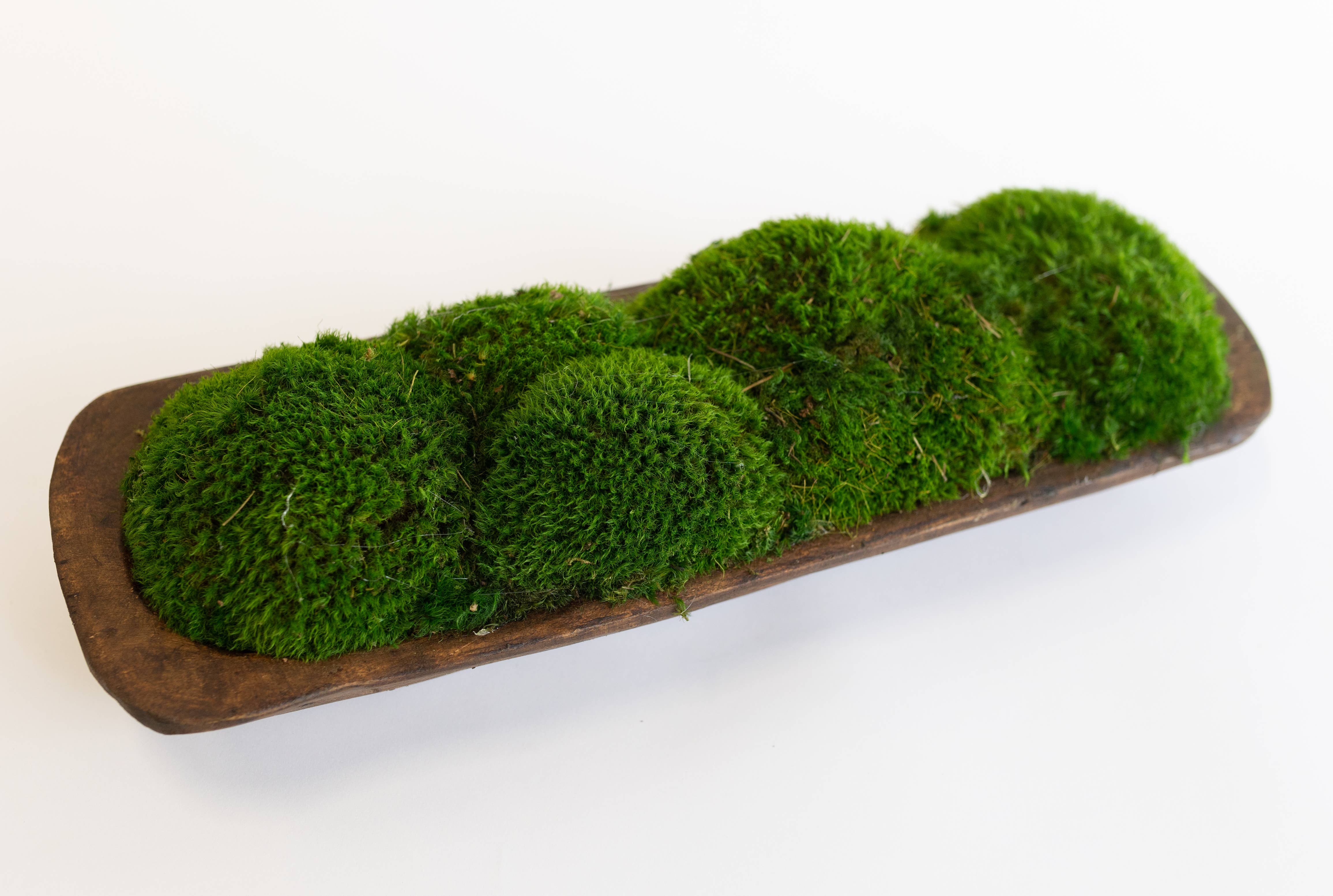 Forever Green Art - Wholesale Decorative Plate/Dish/Bowl - Preserved Mood Moss in Small Bread Bowl4