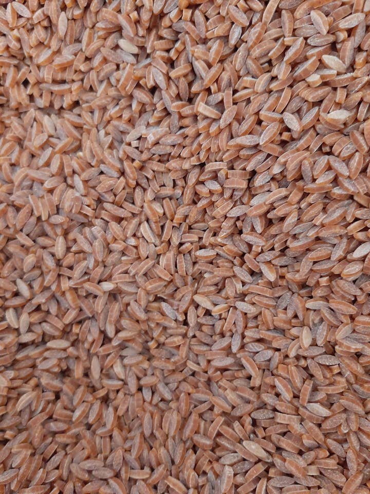 Chilli Risoni granel 1 kg para venta al por mayor de GRAINES AU VENT