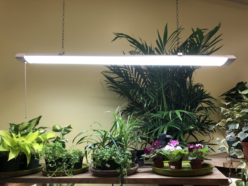 Miracle LED - Wholesale Chandelier/Hanging Light - 4' LED Commercial Full Spectrum Daylight Grow Light1