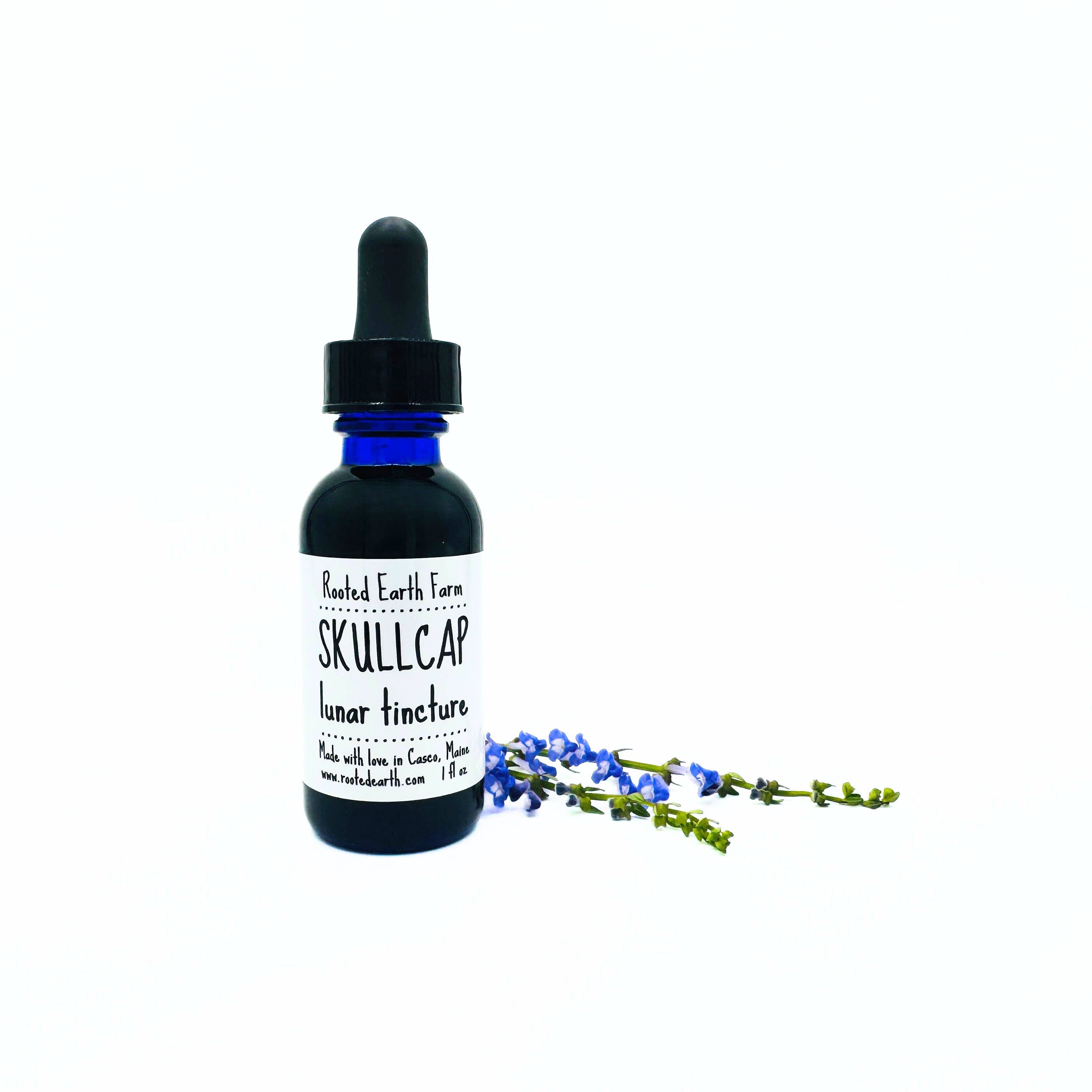 Rooted Earth Farm + Apothecary - Wholesale Tincture - Skullcap Tincture - 2 Size Options5