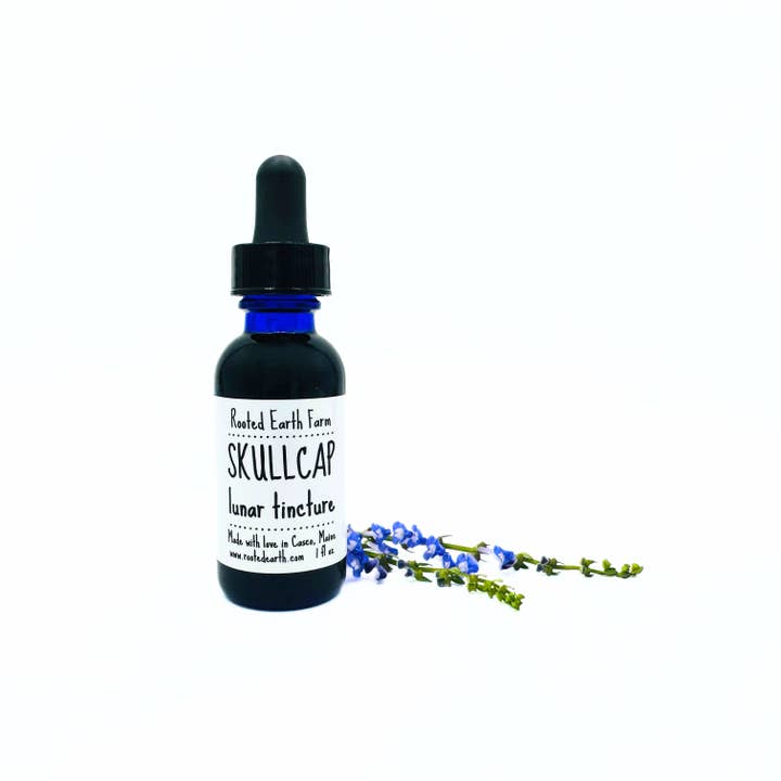 Rooted Earth Farm + Apothecary - Wholesale Tincture - Skullcap Tincture - 2 Size Options5