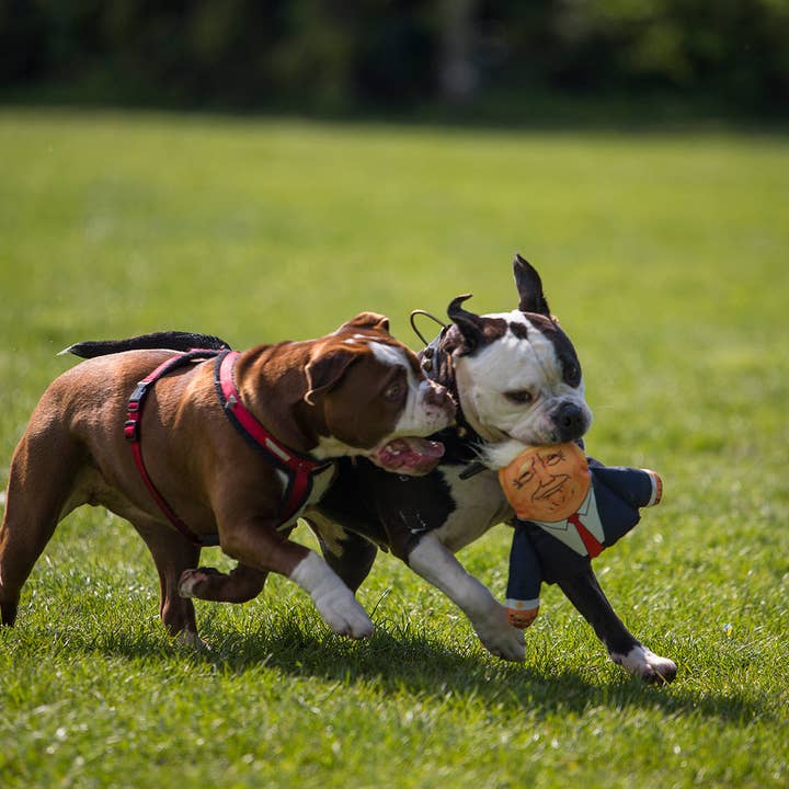 Pet Hates Toys - Wholesale Pet plush toy – Dog - Donald Dog Toy 1