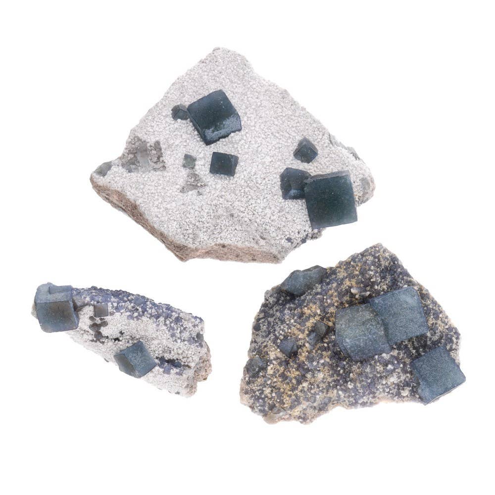 Vives de la Cortada S.L - Vendita all'ingrosso Pietra/cristallo spirituale - Fluorite Verde su Matrice (100 - 130 g)3