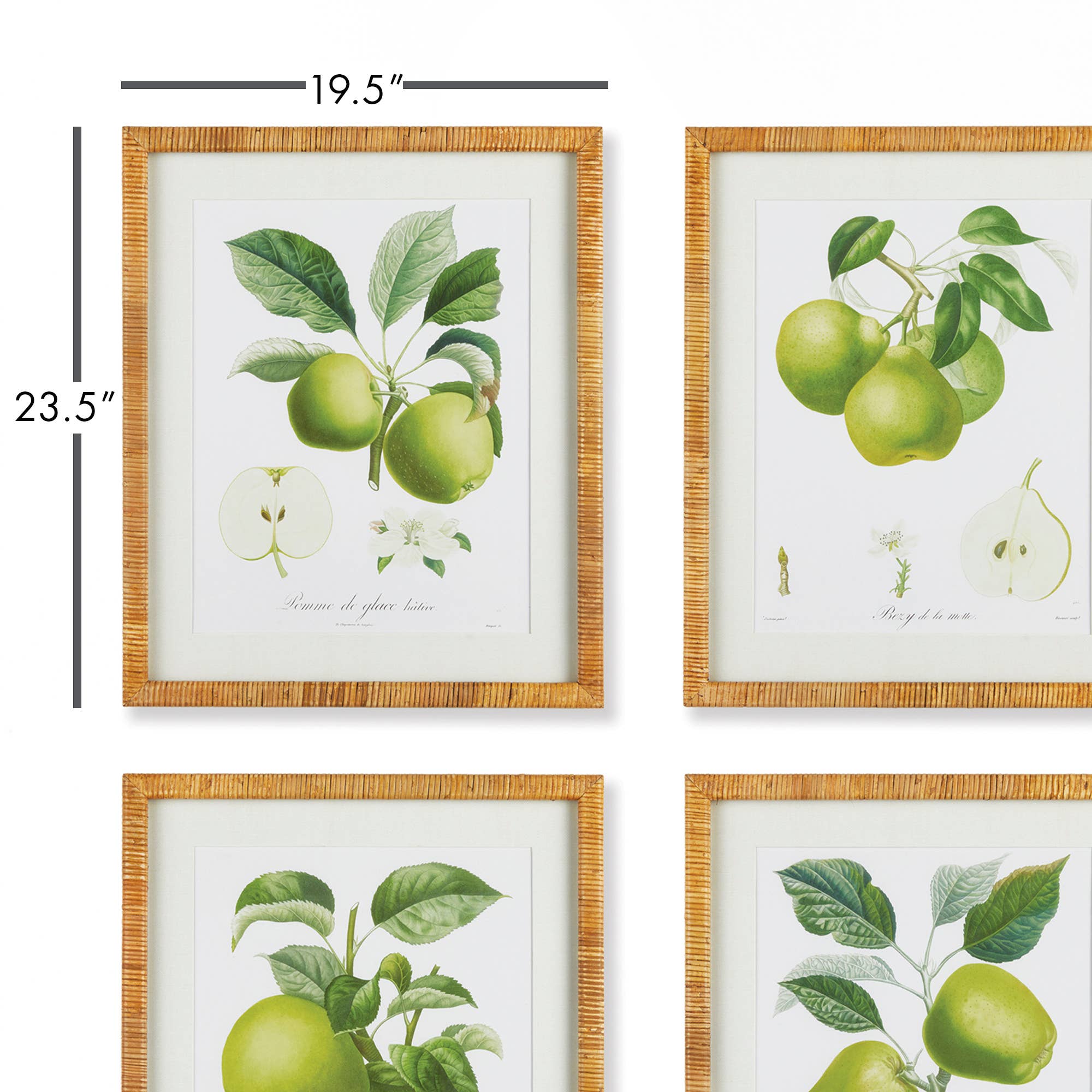 Napa Home & Garden – wholesale Gallery wall set – Fruit Study, Set Of 43