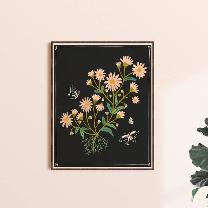 Margaritas Rosas - Lámina de Arte de Ilustración Botánica para venta al por mayor de Dream Folk Studio