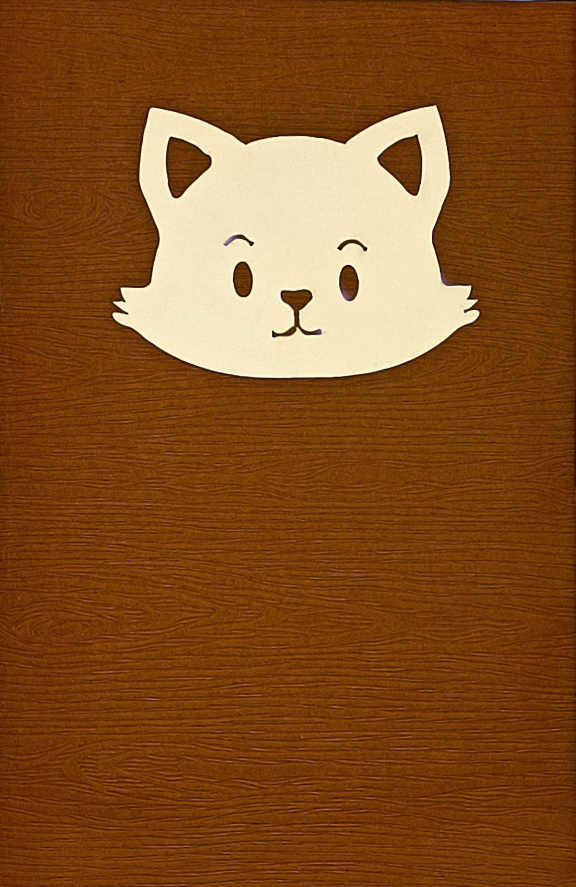 RF Distribution - Wholesale Everyday Greeting Card - Kittens Surprise Origami Card in Gift Box1
