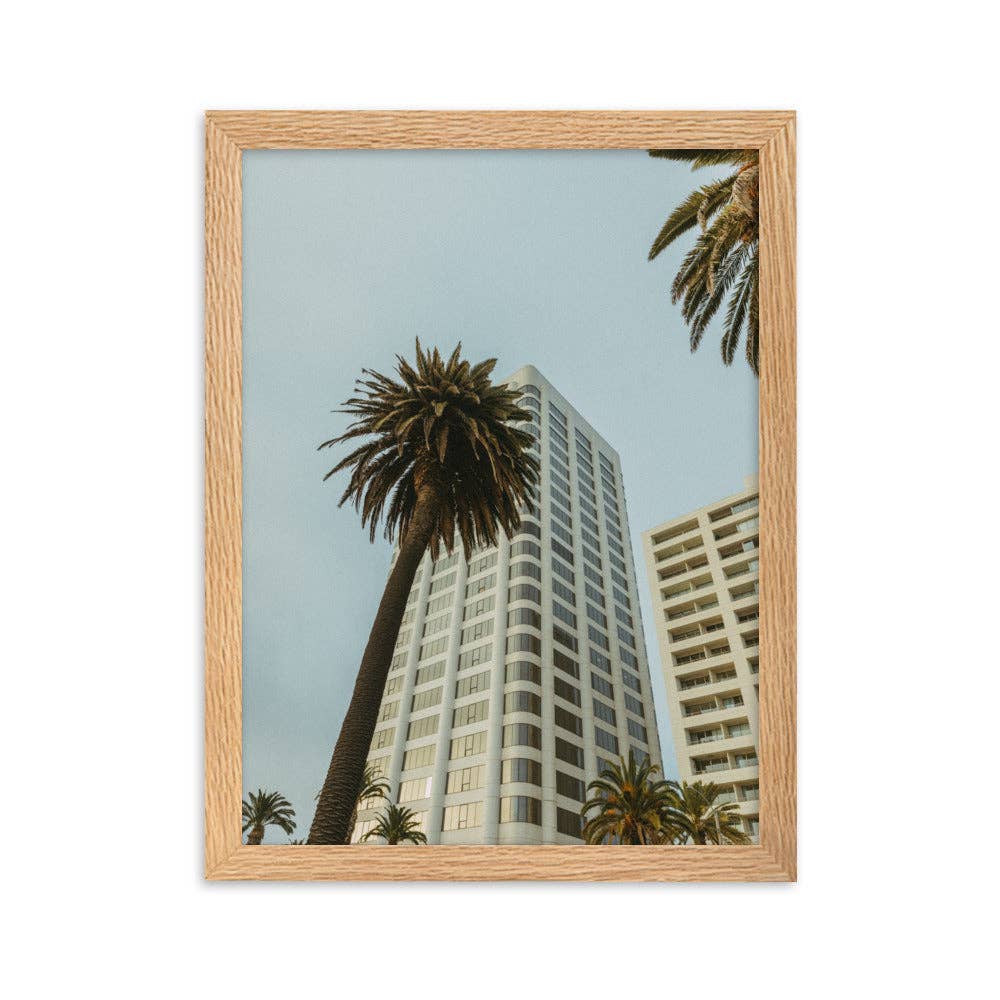 Studio Teddy - Wholesale Poster - Jeffery Matthews - Palms - Framed matte paper poster2