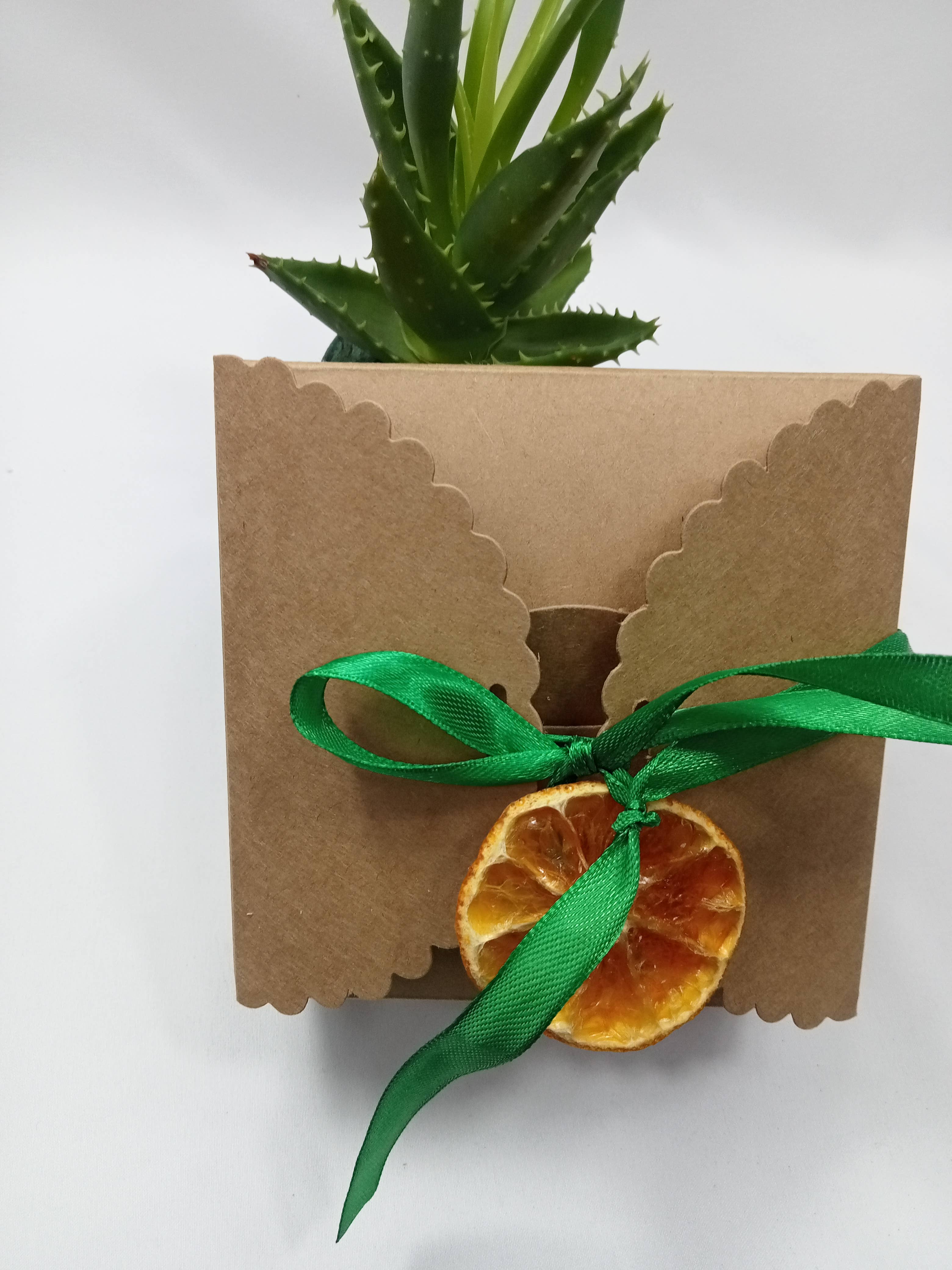 ZHENZHI - Wholesale Facial Care Set/Kit - Beauty gift box11