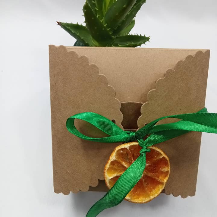 ZHENZHI - Wholesale Facial Care Set/Kit - Beauty gift box11