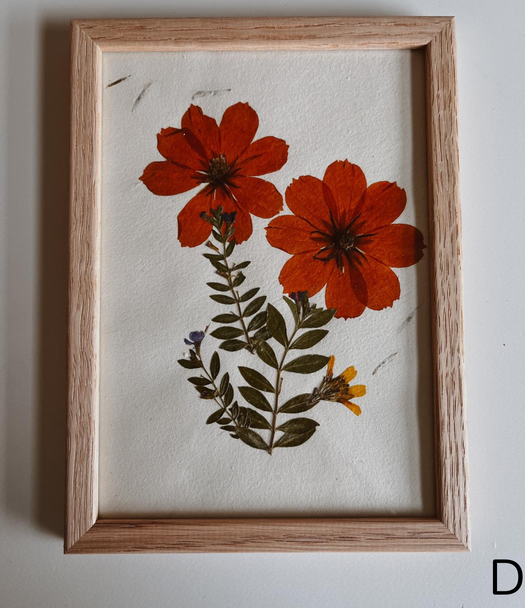 Village Thrive - Vendita all'ingrosso Stampa artistica - Decorazione da parete con fiori pressati 5x71