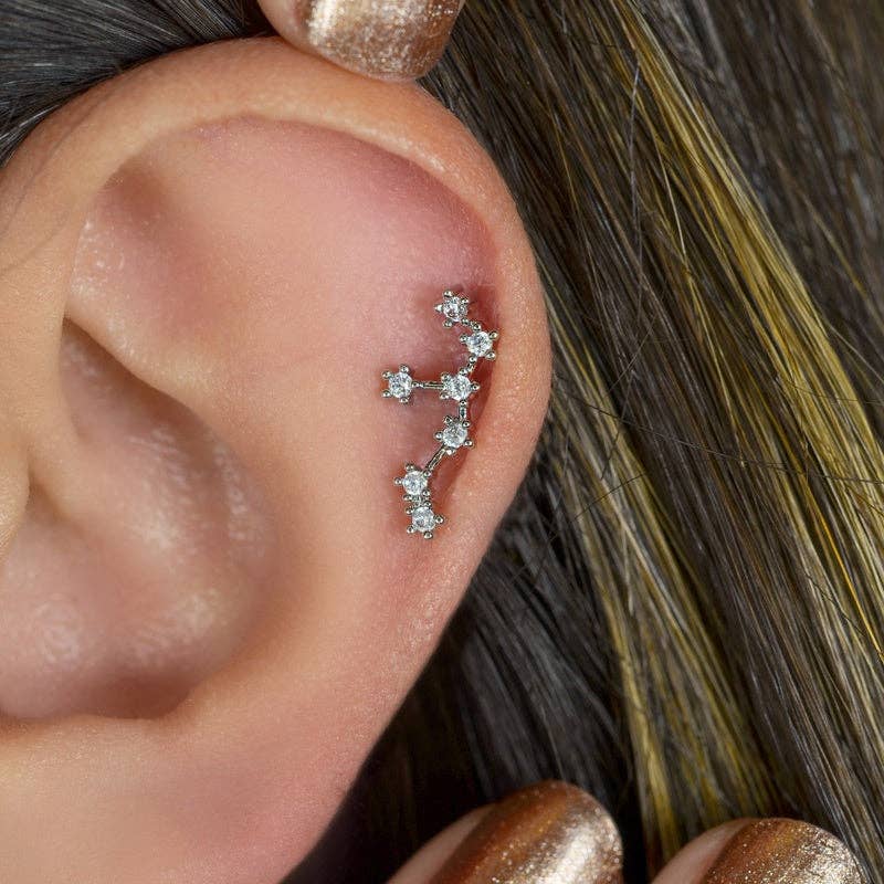 StockJWL - Wholesale Stud/Post Earrings - 12 Zodiac Earrings, Constellation Stud Earring Stud Piercing Tragus Helix Lobe and Cartilage Silver And Gold30