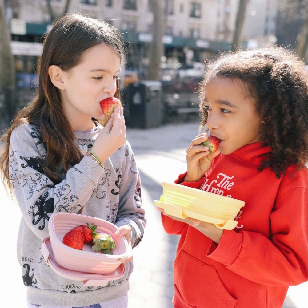 Stojo - Wholesale Food Storage Container - 24 oz Collapsible Jr. Food Storage Box - All Packaging8