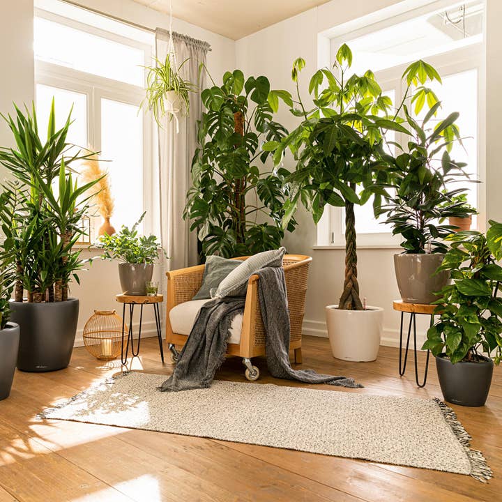 LECHUZA CLASSICO LS Poly Resin Round Plant Pot for wholesale by Lechuza Self Watering Planters