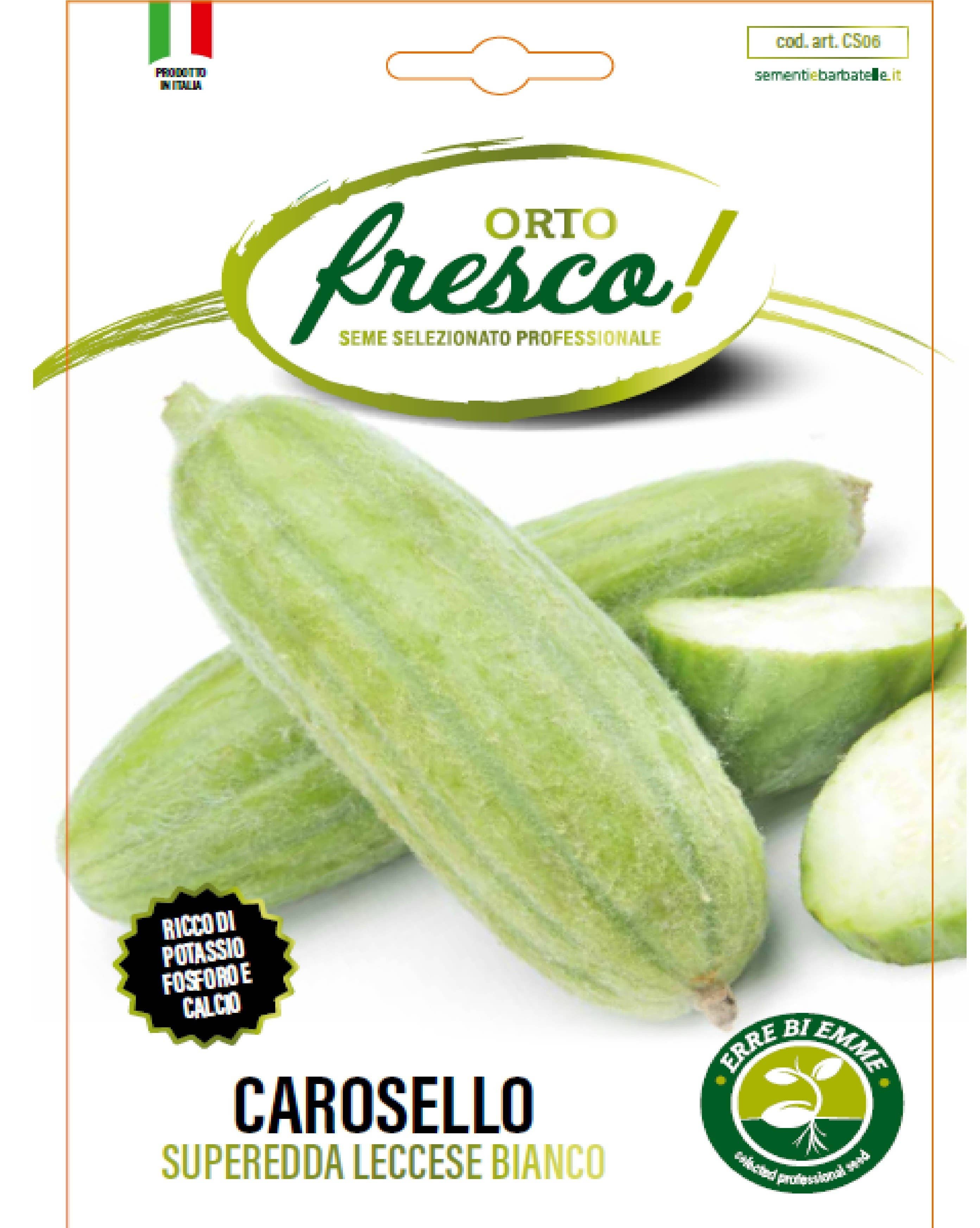 Sementi & Barbatelle - Wholesale Plant Seeds - Carosello Superedda Leccese White0