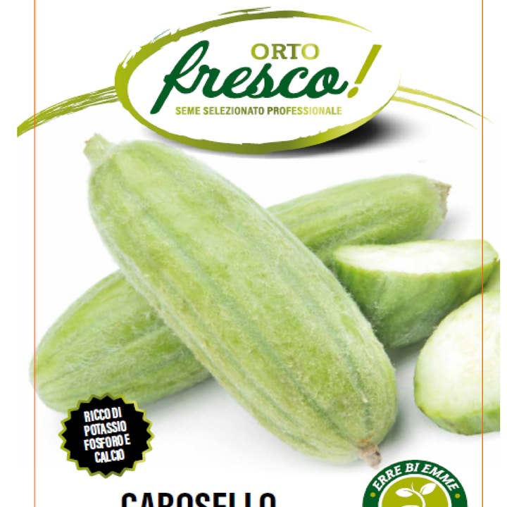 Sementi & Barbatelle - Wholesale Plant Seeds - Carosello Superedda Leccese White