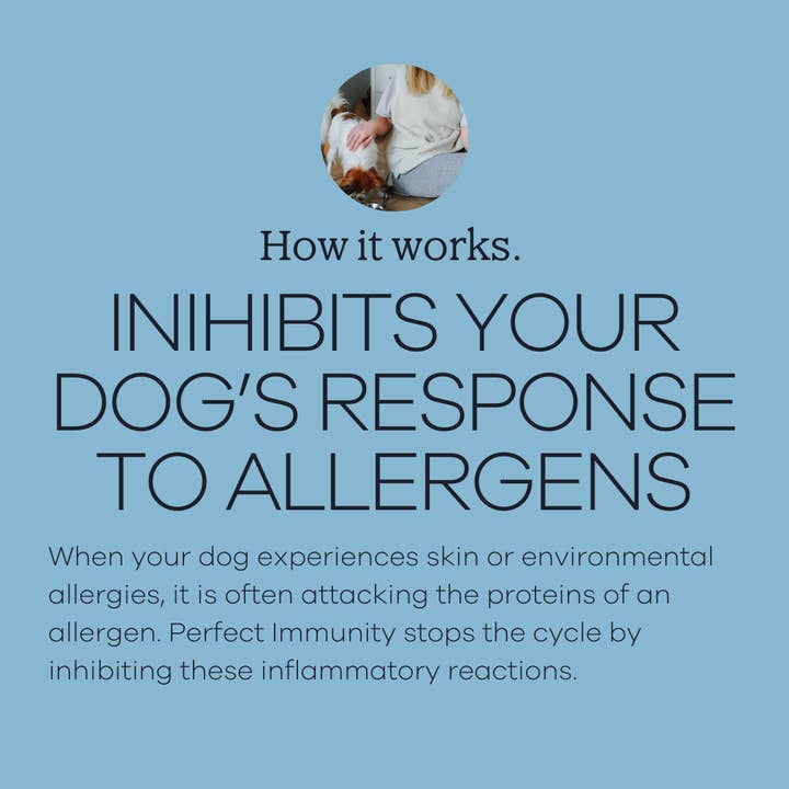 Yumwoof Natural Pet Food - Wholesale Pet Supplement - Dog - Perfect Immunity3