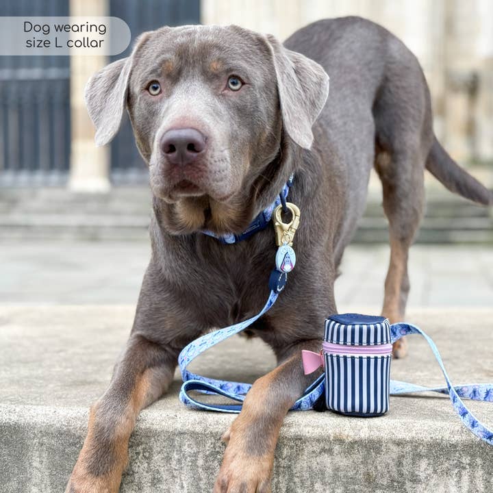 Pawsome Paws - Wholesale Pet collar – Dog - Disney© Collar - Eeyore3