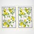 Olive Loom - Wholesale Tea Towel - Designer Kitchen Towels15