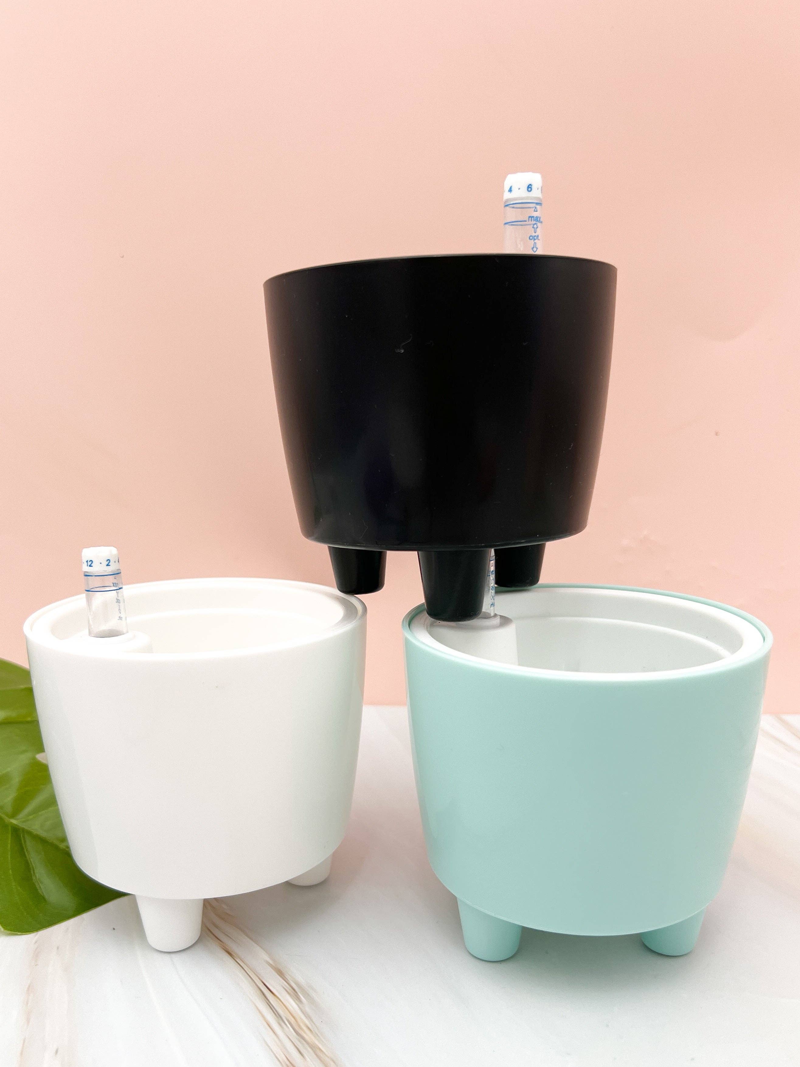 Propagation Diaries - Wholesale Plant Pot - 3” Self Watering Moo Pot8