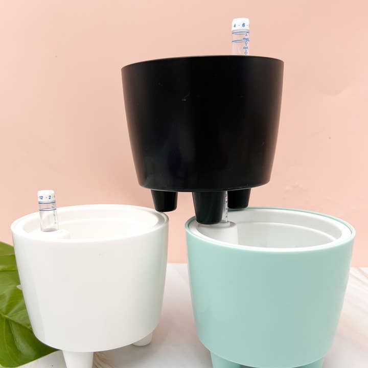 Propagation Diaries - Wholesale Plant Pot - 3” Self Watering Moo Pot8