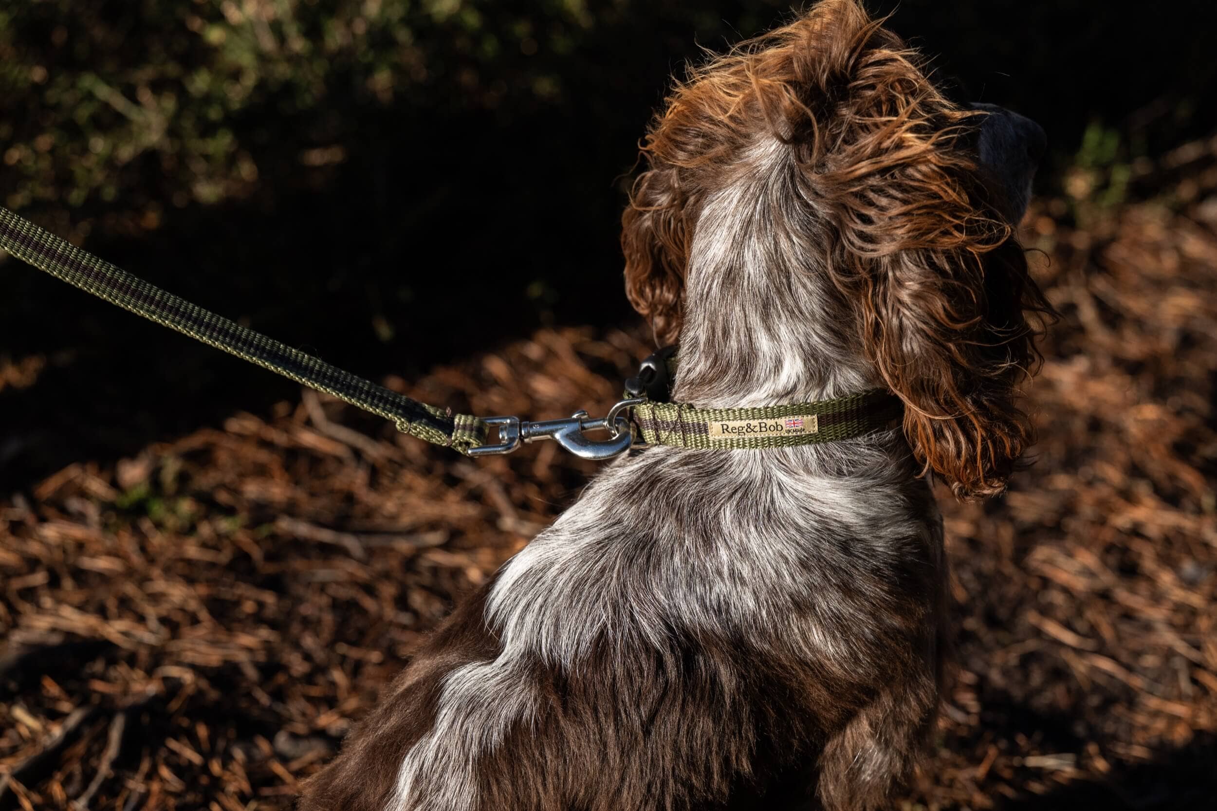 Reg&Bob - Wholesale Pet Collar - Dog - Reg&Bob Collar Khaki stripe