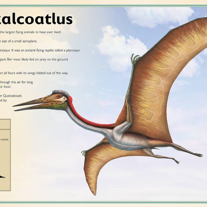 Insight Editions - #1 Pop Culture Publisher - Wholesale Reference Book - The Magnificent Book of Dinosaurs8