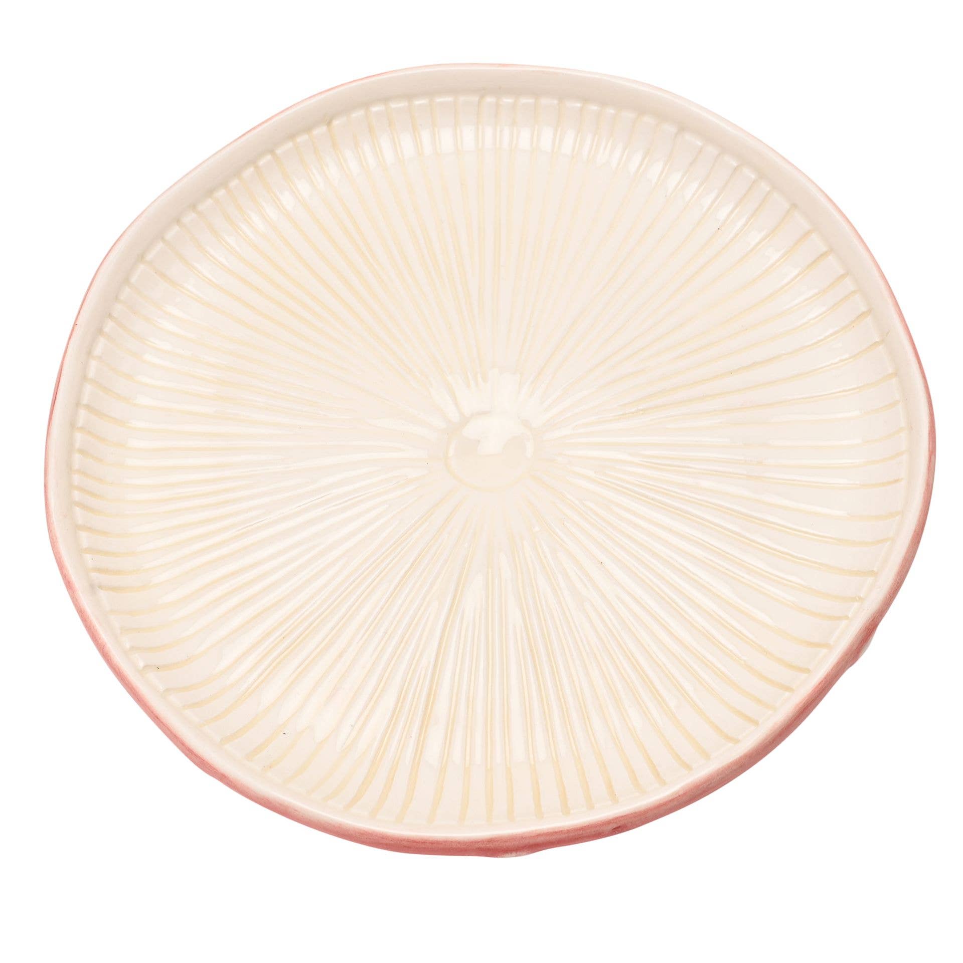 WIDDOP and Co. - Wholesale Dinnerware Set - **MULTI 4** Country Living Toadstool Top Side Plate2