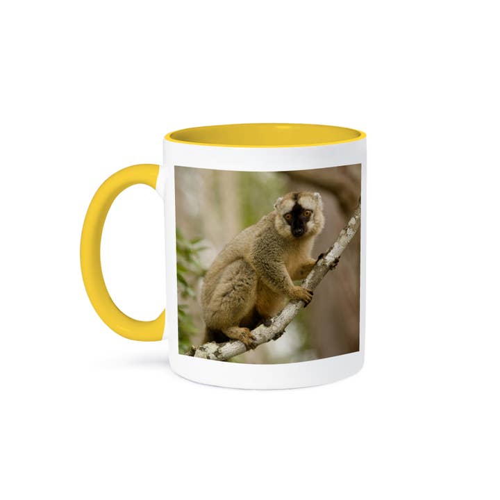 3dRose - Wholesale Coffee Mug - 3dRose, Brown Lemur in a tree in Madagascar-AF24 JMC0003 - Joe and Mary Ann McDonald, Mug
