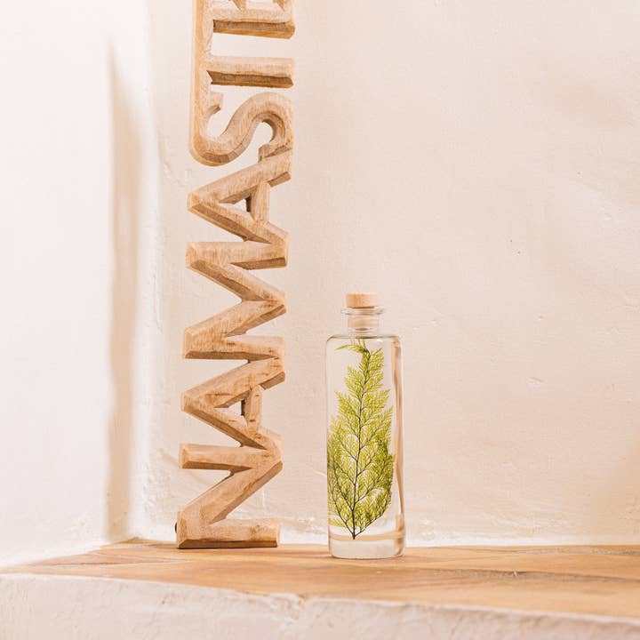 Theophile Berthon - Wholesale Live Plant - The Tabalia Fern Herbarium - submerged plant2