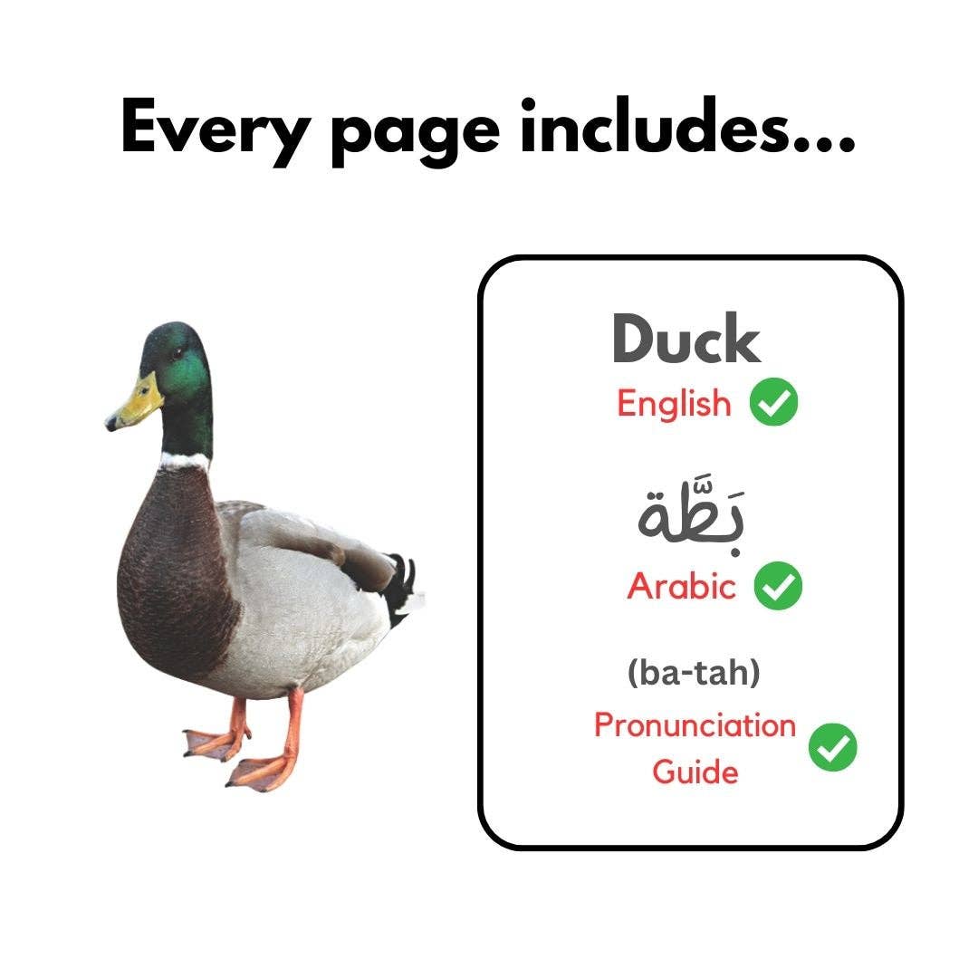 Heritage Kids Press - Wholesale Baby & Toddler Book (0-2) - My First Arabic Words Series7