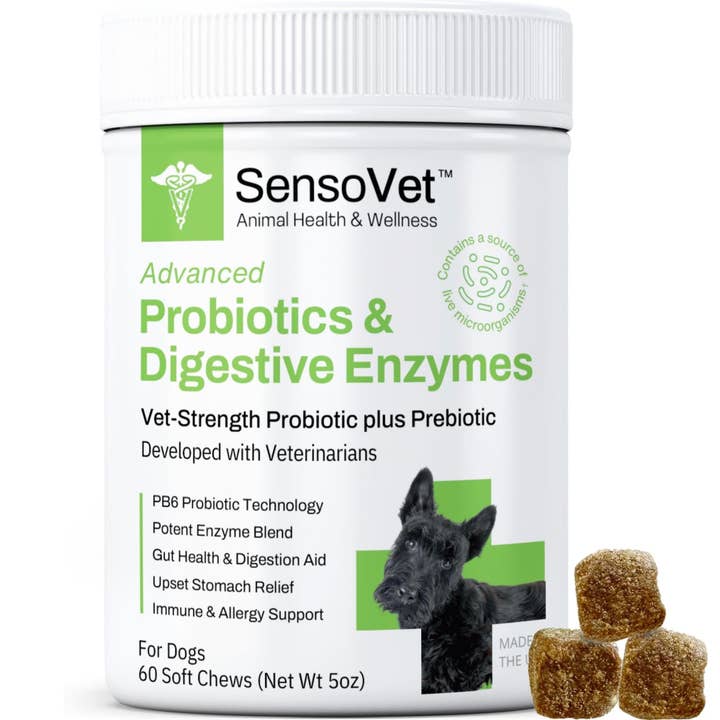 Advanced Probiotics & Digestive Enzymes Soft Chews for Dogs and other Purchase Wholesale dog probiotic. Free Returns & Net 60 Terms on Faire trending on Faire.