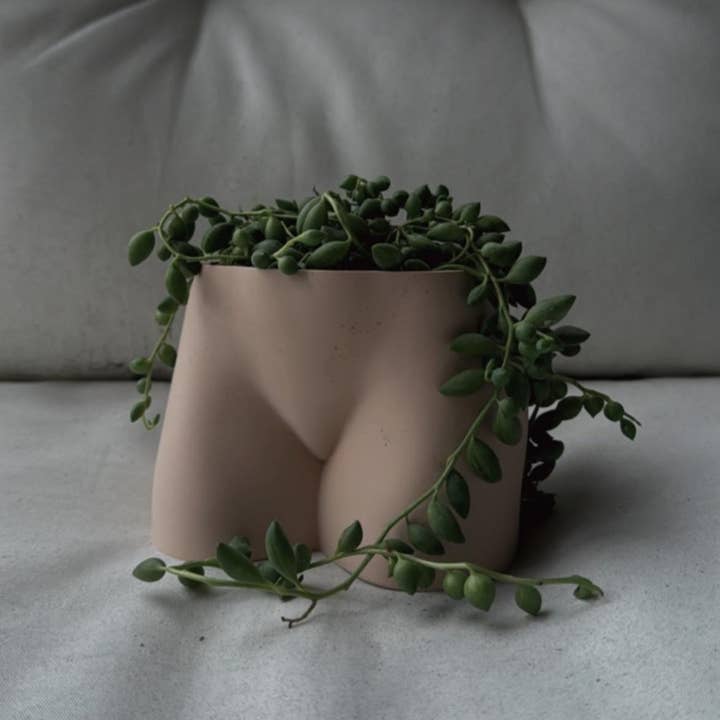 Peachy Pilea - Wholesale Plant Pot - Peachy Tattoo Cheeky Planter | More Colors Available