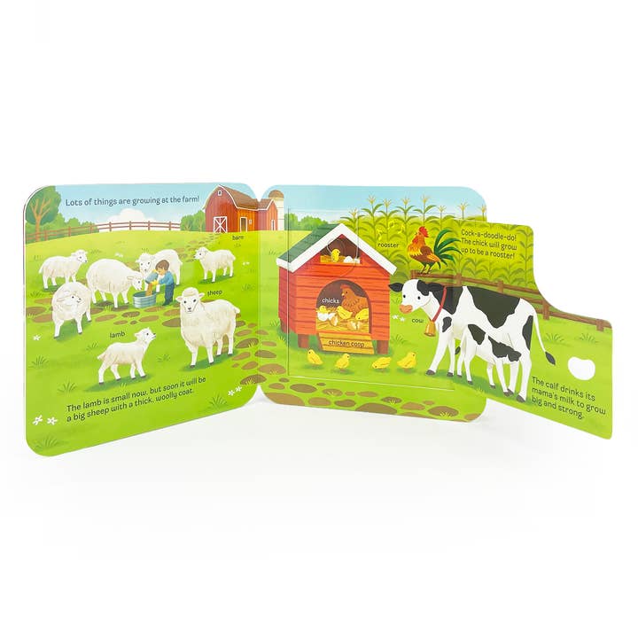 Cottage Door Press - Wholesale Baby & Toddler Book (0-2) - GROW Lift-a-Flap Board Book2