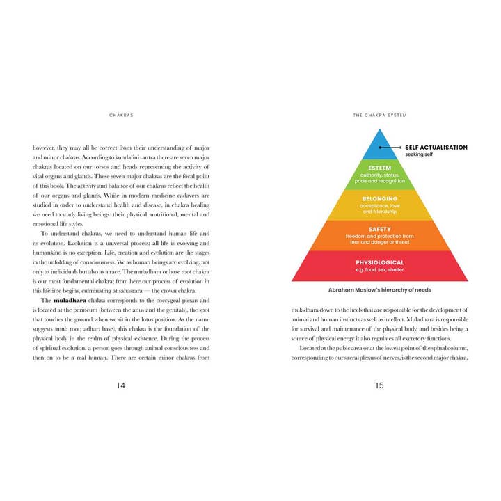 Simon & Schuster - Wholesale Body, Mind & Spirit - Chakras by Dr Ravi Ratan3