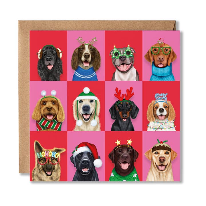 Funny Dog Christmas Card for wholesale by Badgerbee Design