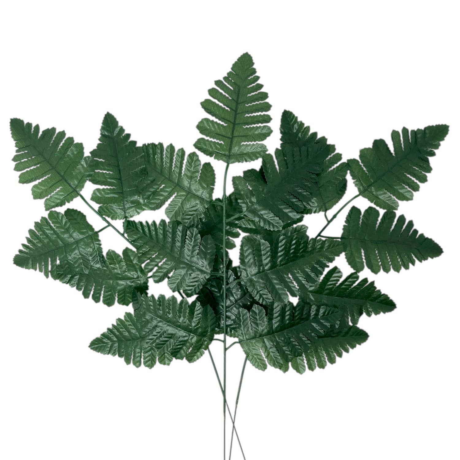 David Christopher's Collection - Wholesale Artificial Plant - Leather Leaf Bundle 16.5" (12pc Per bundle)2