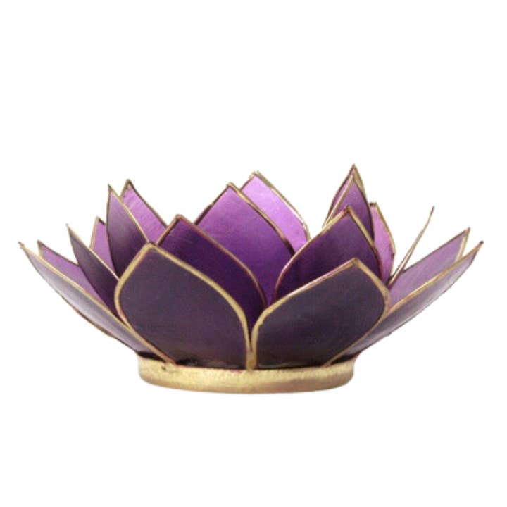 Pierre précieuse Capiz Lotus - Tanzanite pour la vente par Om Gallery